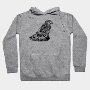 Kestrel Hoodie